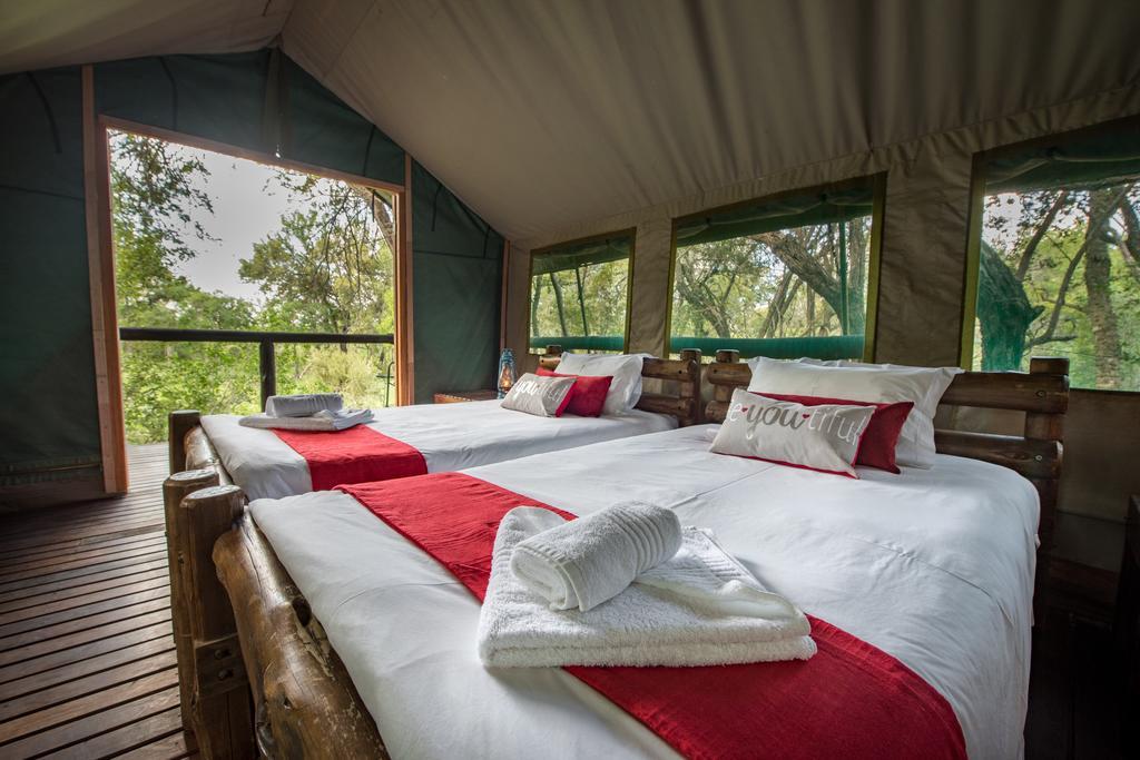 Ndzhaka Tented Camp Manyeleti Game Reserve Exterior photo