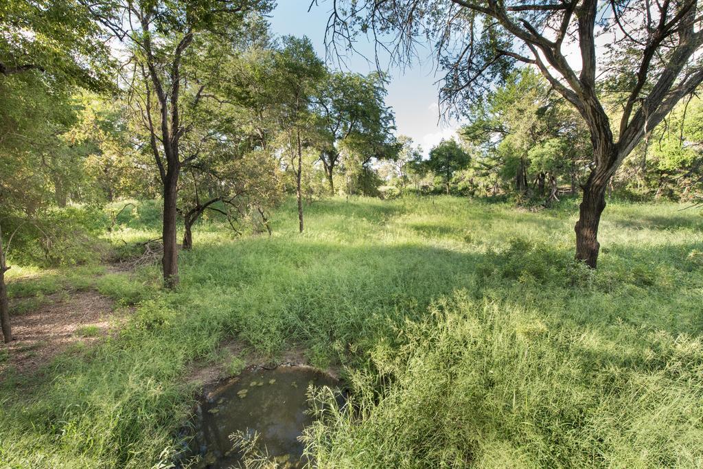 Ndzhaka Tented Camp Manyeleti Game Reserve Exterior photo