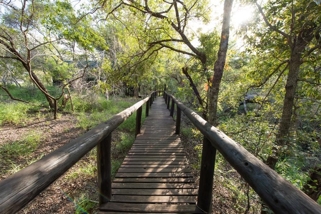 Ndzhaka Tented Camp Manyeleti Game Reserve Exterior photo