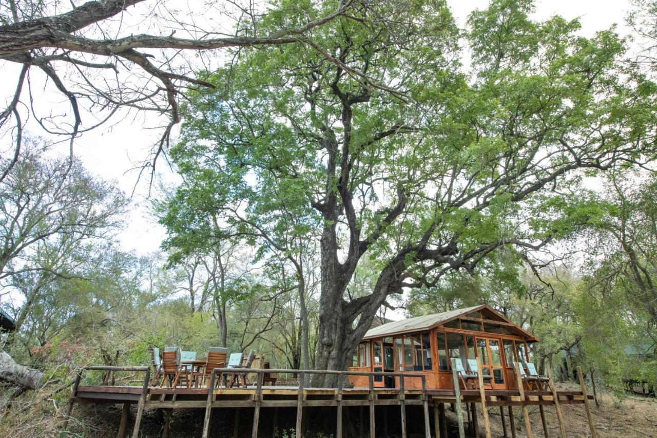 Ndzhaka Tented Camp Manyeleti Game Reserve Exterior photo