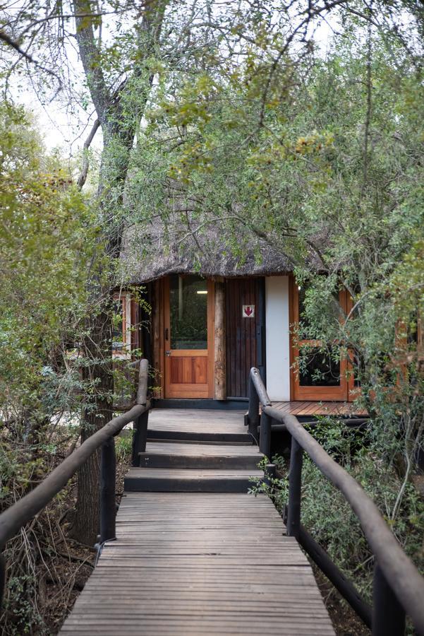 Ndzhaka Tented Camp Manyeleti Game Reserve Exterior photo